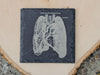 Medical Anatomy Art Coasters - Slate