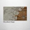 Skidaway Island to St. Catherine's Island, GA - Whimsical Map on Wood