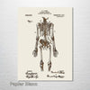 Anatomical Skeleton - Patent